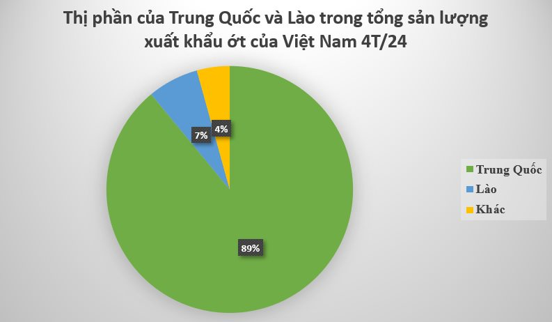 Loại quả 'nhỏ nhưng có võ' của Việt Nam được Trung Quốc ồ ạt thu mua: Nhu cầu toàn cầu lên đến 4.000 tấn, nước ta là ‘ông trùm’ thứ 2 thế giới - Ảnh 2.