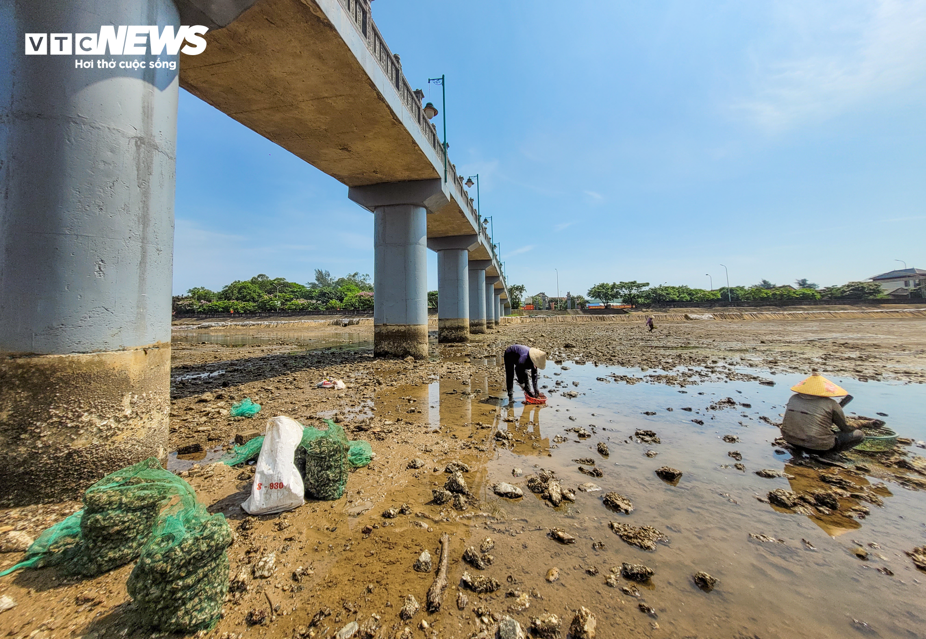 Nghề đẽo đá 'ra tiền' của những người phụ nữ vùng biển - Ảnh 4.