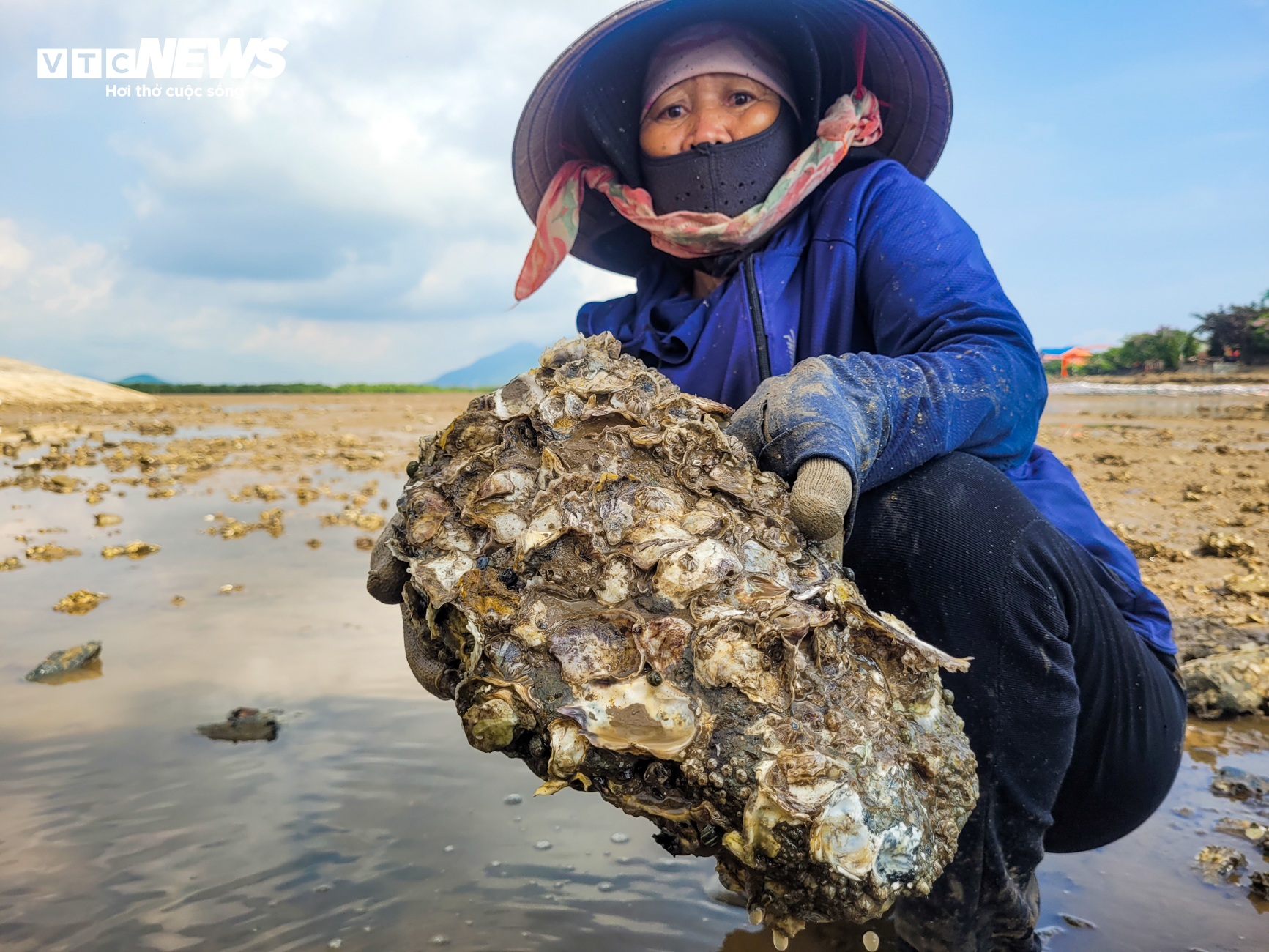 Nghề đẽo đá 'ra tiền' của những người phụ nữ vùng biển - Ảnh 3.