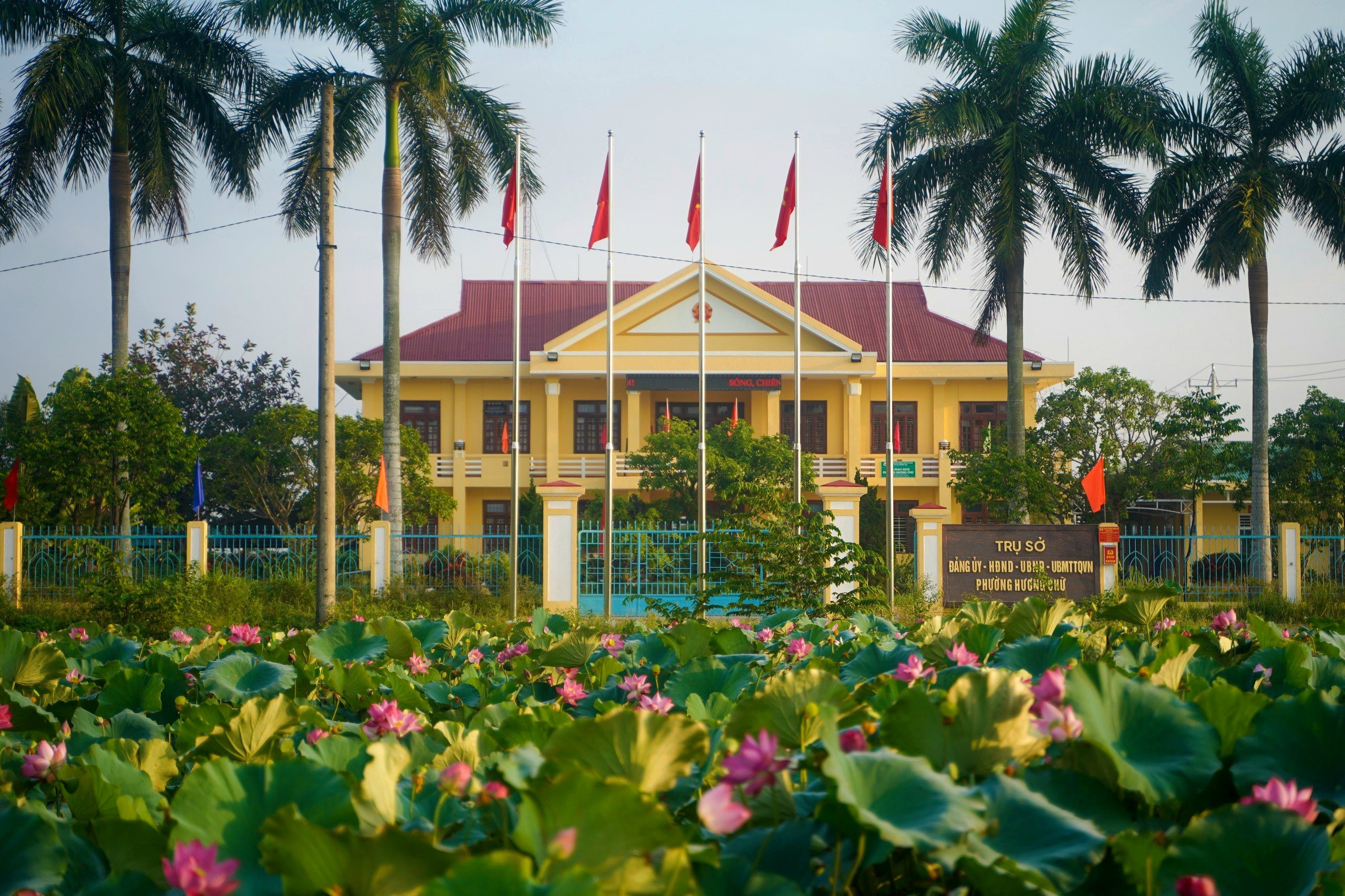 Thiếu nữ xứ Huế thích thú tạo dáng cùng hoa sen mùa hạ- Ảnh 2.