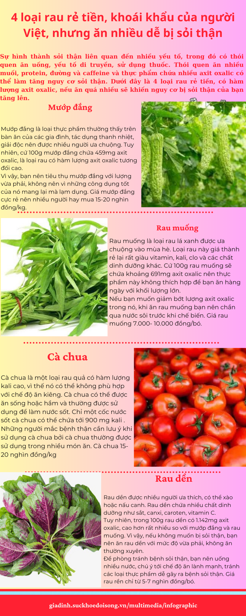 4 loại rau rẻ tiền, khoái khẩu của người Việt, nhưng ăn nhiều dễ bị sỏi thận - Ảnh 1.