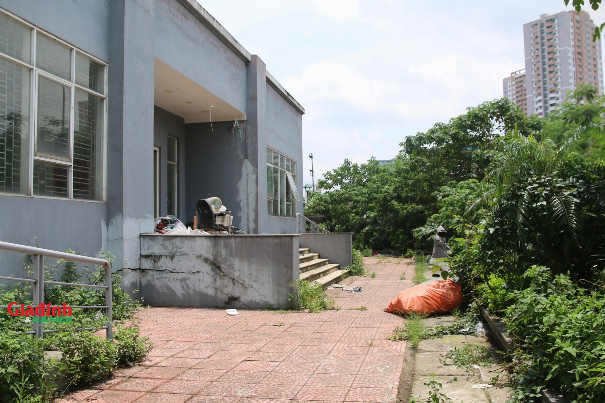 Hà Nội: Dự án tái định cư trì trệ, hàng ngàn căn hộ bị bỏ hoang nhiều năm - Ảnh 5.