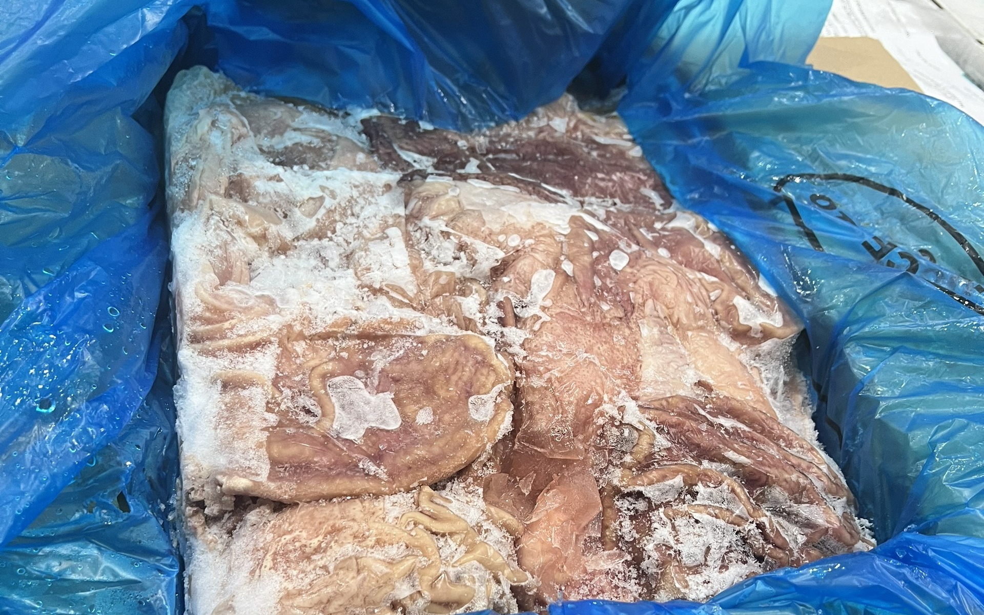 Hà Nội: Kiểm tra kho lạnh ở khu công nghiệp, bất ngờ phát hiện 11,9 tấn dạ dày lợn nhiều "không"
