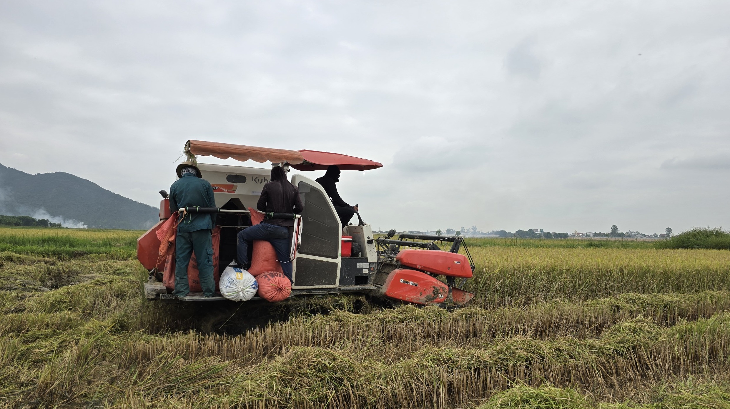 Nông dân thu bội tiền nhờ thứ tưởng như vứt đi- Ảnh 5.