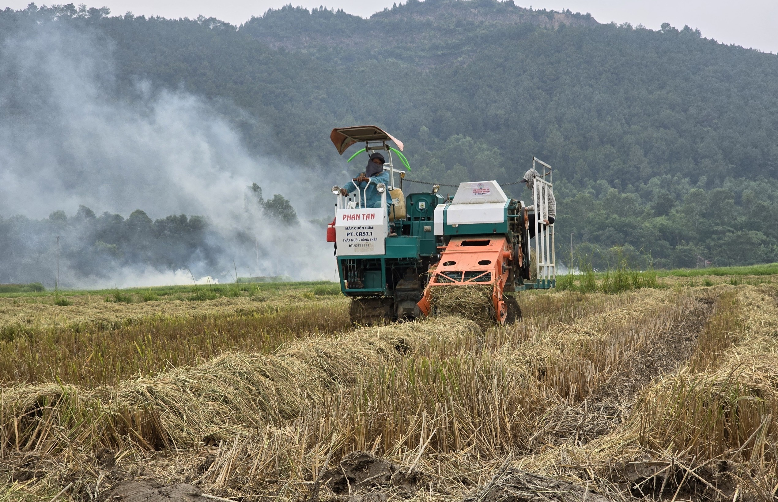 Nông dân thu bội tiền nhờ thứ tưởng như vứt đi- Ảnh 3.