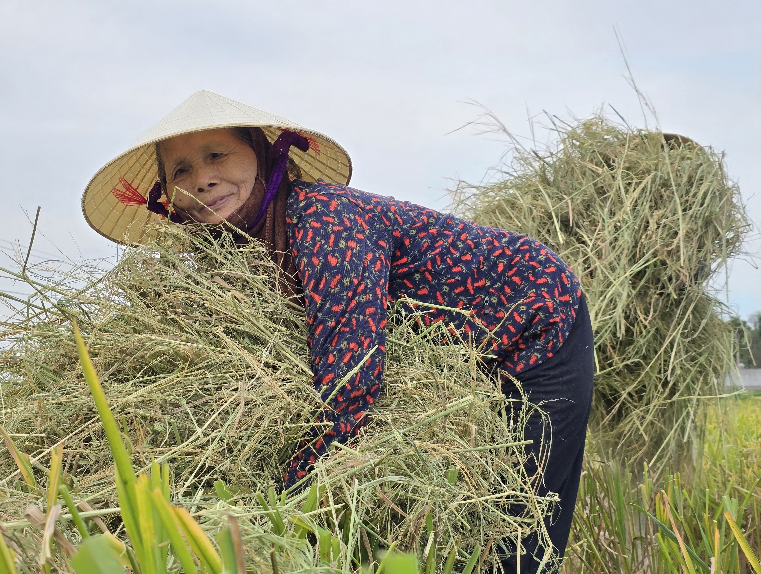 Nông dân thu bội tiền nhờ thứ tưởng như vứt đi- Ảnh 4.