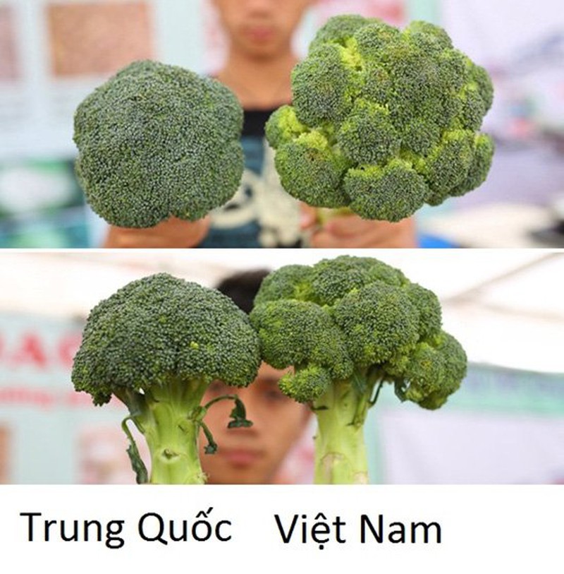 18 loại rau củ với cách phân biệt nguồn gốc từ Trung Quốc hay Việt Nam- Ảnh 1.