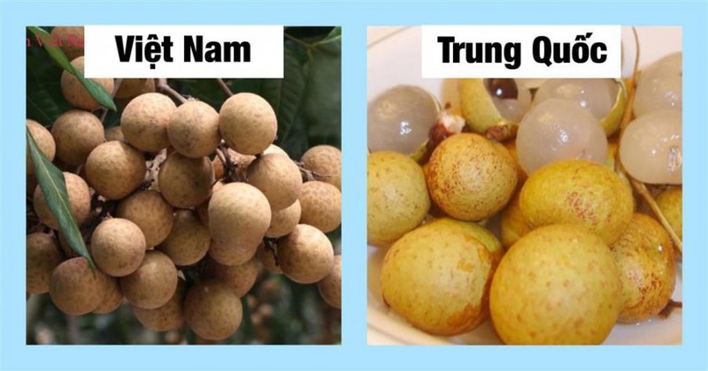18 loại rau củ với cách phân biệt nguồn gốc từ Trung Quốc hay Việt Nam- Ảnh 11.