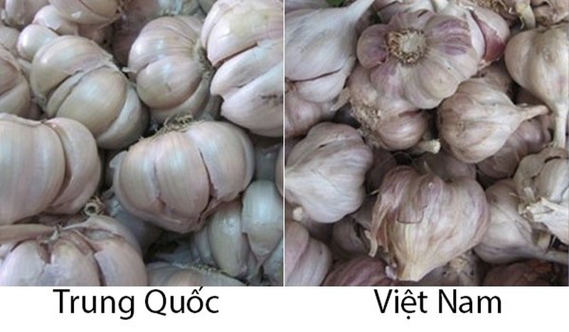 18 loại rau củ với cách phân biệt nguồn gốc từ Trung Quốc hay Việt Nam- Ảnh 17.
