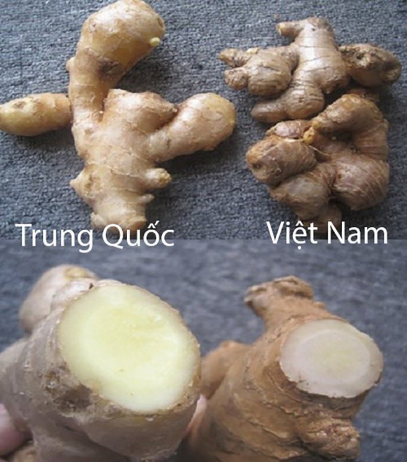 18 loại rau củ với cách phân biệt nguồn gốc từ Trung Quốc hay Việt Nam- Ảnh 18.