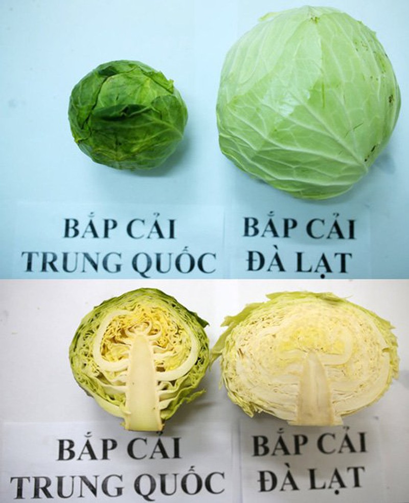 18 loại rau củ với cách phân biệt nguồn gốc từ Trung Quốc hay Việt Nam- Ảnh 3.