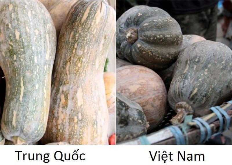 18 loại rau củ với cách phân biệt nguồn gốc từ Trung Quốc hay Việt Nam- Ảnh 5.