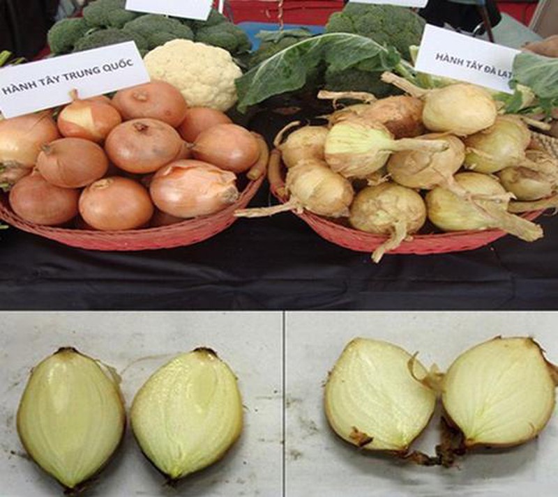 18 loại rau củ với cách phân biệt nguồn gốc từ Trung Quốc hay Việt Nam- Ảnh 9.
