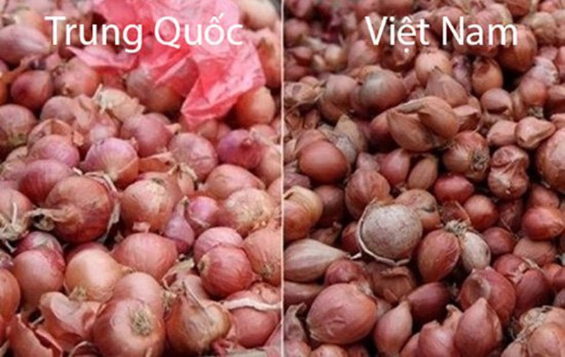 18 loại rau củ với cách phân biệt nguồn gốc từ Trung Quốc hay Việt Nam- Ảnh 10.