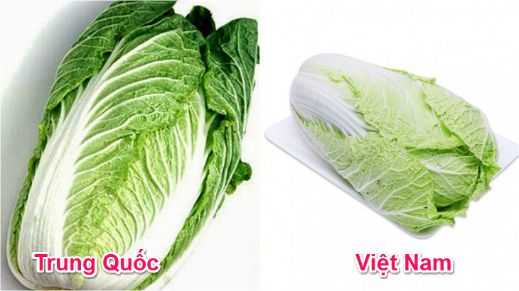 18 loại rau củ với cách phân biệt nguồn gốc từ Trung Quốc hay Việt Nam- Ảnh 4.