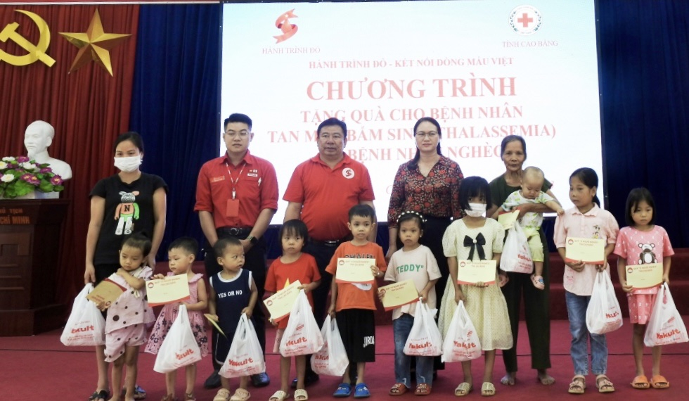 Tăng cường phổ cập thông tin về bệnh tan máu bẩm sinh Thalassemia - Ảnh 2.