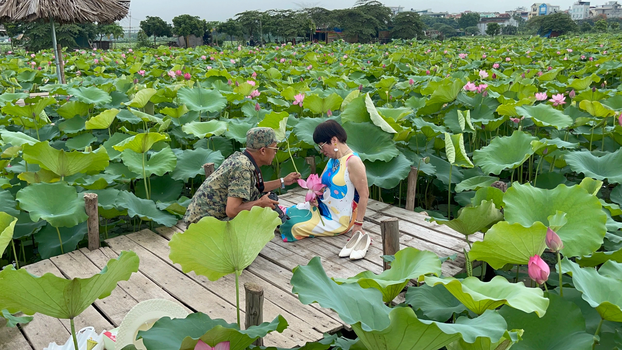 Mê mẩn vẻ đẹp của đầm sen đầu mùa tại Hà Nội, nhiều người đến tạo dáng check im- Ảnh 4.