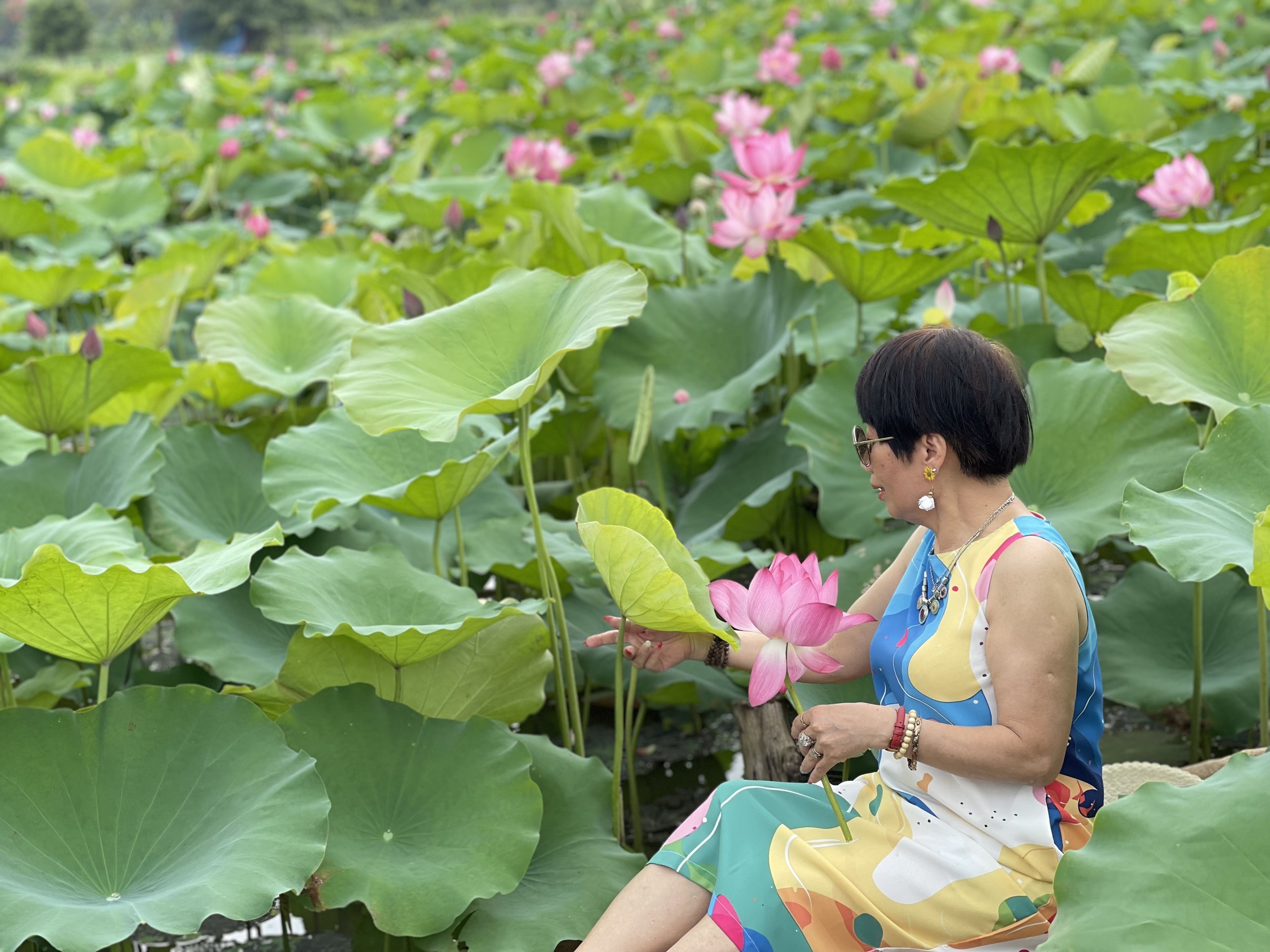 Mê mẩn vẻ đẹp của đầm sen đầu mùa tại Hà Nội, nhiều người đến tạo dáng check im- Ảnh 14.