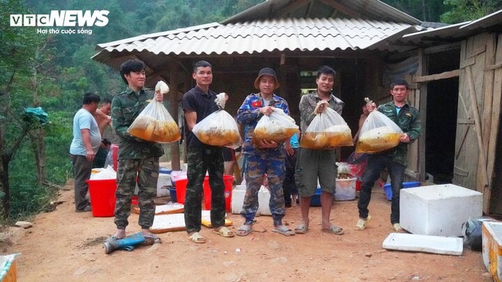 Hốt bạc từ 'cây ong mật' kỳ lạ ở Điện Biên cho hàng tấn mật ong thượng hạng - Ảnh 7.