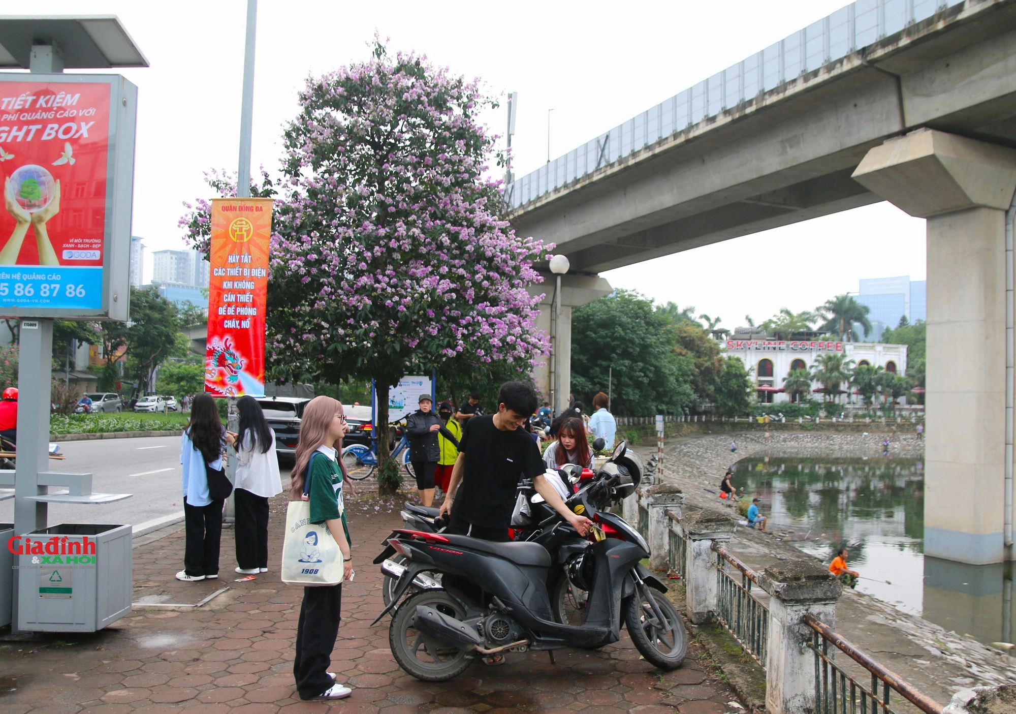  Hà Nội đẹp ngỡ ngàng mùa hoa bằng lăng tím - Ảnh 15.