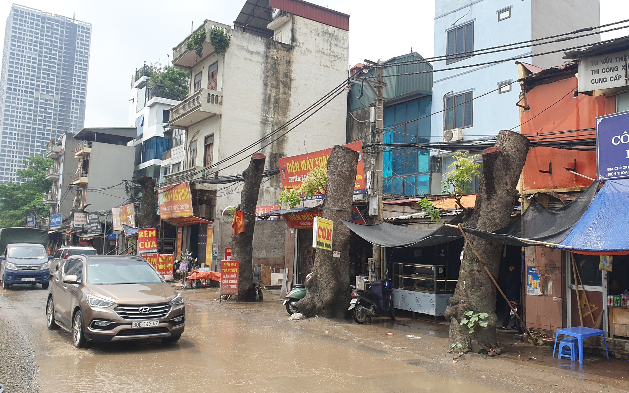 Loạt cây xanh lâu năm ở Hà Nội "mất ngọn", trơ trụi để triển khai dự án