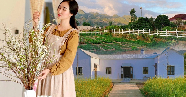Cuộc cạnh tranh ng&agrave;y c&agrave;ng khốc liệt của thị trường lưu tr&uacute; tại H&agrave; Nội - Ảnh 17.