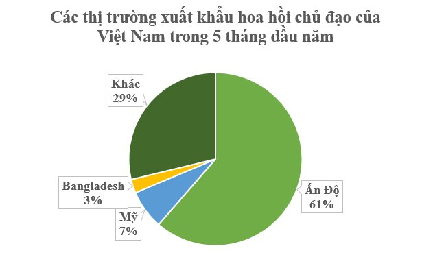 'Cánh hoa nghìn tỷ' cực hiếm của thế giới mọc đầy tại Việt Nam: Ấn Độ có bao nhiêu mua bấy nhiêu, nước ta xuất khẩu đứng thứ 2 toàn cầu - Ảnh 3.