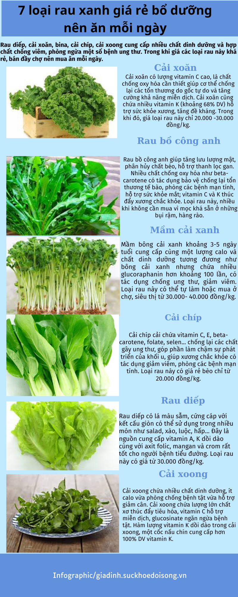 7 loại rau xanh giá rẻ bổ dưỡng nên ăn mỗi ngày - Ảnh 1.