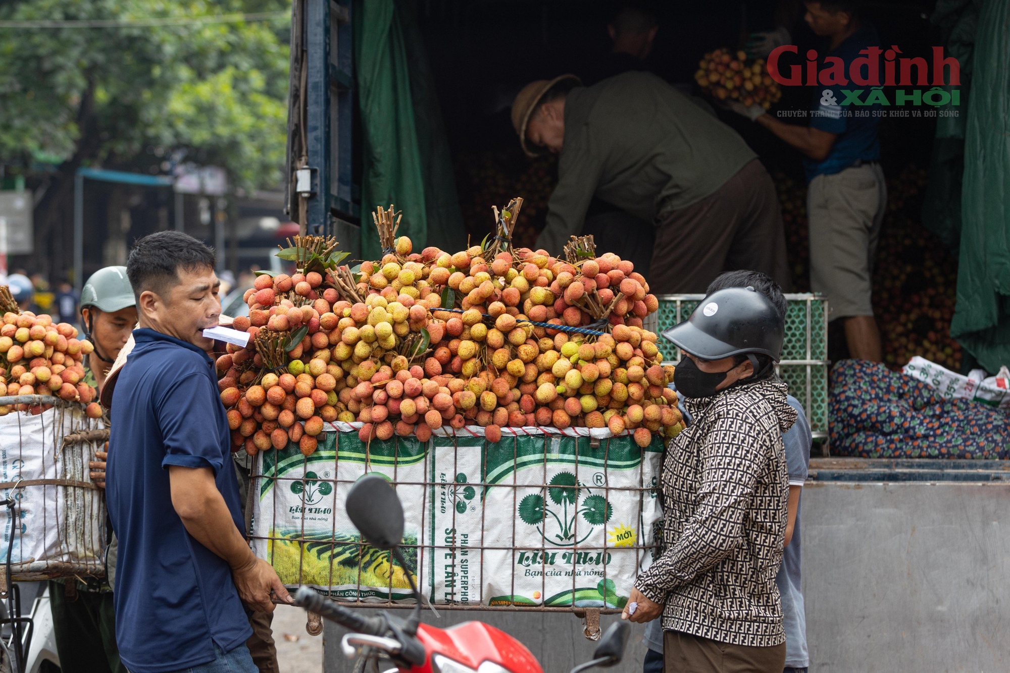 Người nông dân Bắc Giang khóc ròng vì vải thiều được giá lại mất mùa chưa từng có trong 30 năm- Ảnh 3.