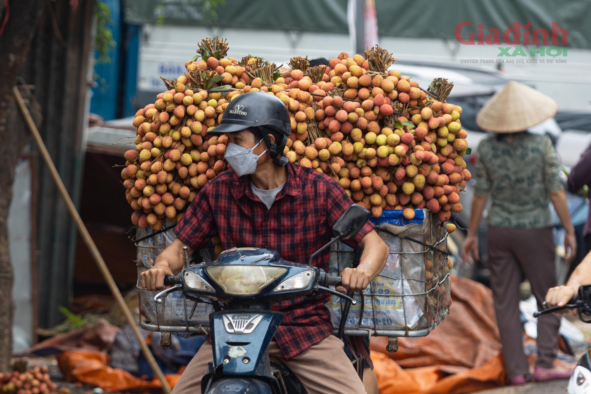 Người nông dân Bắc Giang khóc ròng vì vải thiều được giá lại mất mùa chưa từng có trong 30 năm- Ảnh 4.