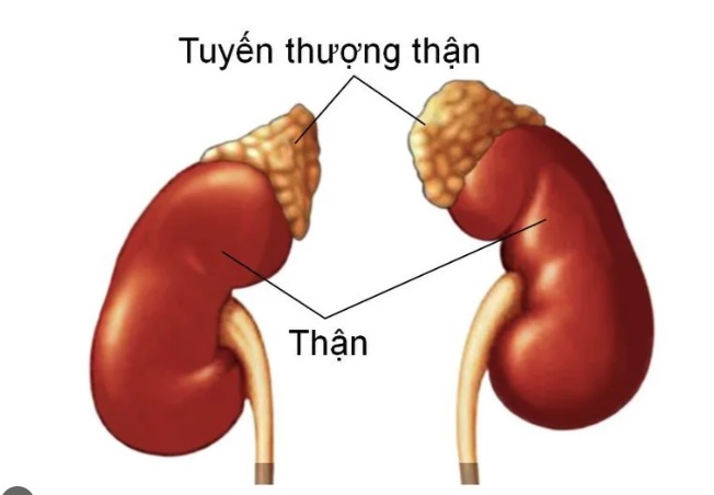 Cô gái 23 tuổi ở Hà Nội bị suy tuyến thượng thận vì dùng thuốc xịt mũi theo cách này - Ảnh 3.