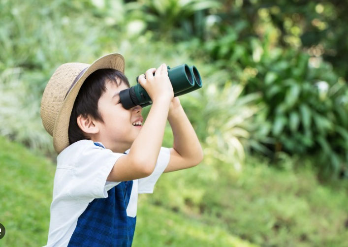 Cách Sắp Xếp Và Sử Dụng Đồ Dùng Học Tập