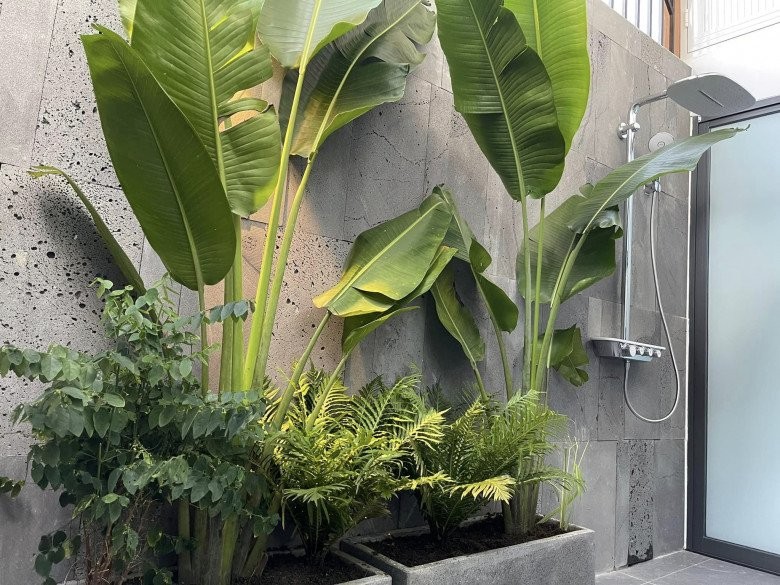 Vợ Phan Mạnh Quỳnh hé lộ điểm đặc biệt trong căn biệt thự biển Nha Trang, chia sẻ kinh nghiệm trồng cây trên sân thượng- Ảnh 8.