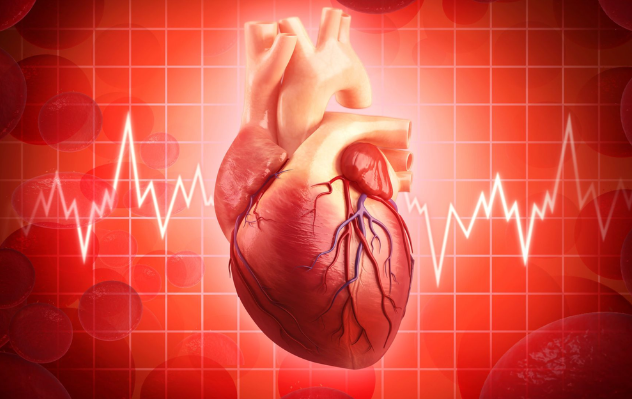 Tìm hiểu về tình trạng tim đập nhanh và cách cải thiện hiệu quả- Ảnh 1.