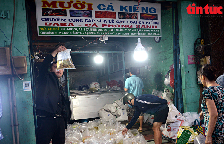 Chợ 'có một không hai' ở TP Hồ Chí Minh: Khách soi đèn mua cá lúc 4 giờ sáng - Ảnh 13.