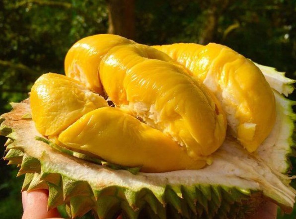 Người bệnh tiểu đường nếu thích ăn sầu riêng nhất định phải biết điều này để ổn định đường huyết - Ảnh 3.