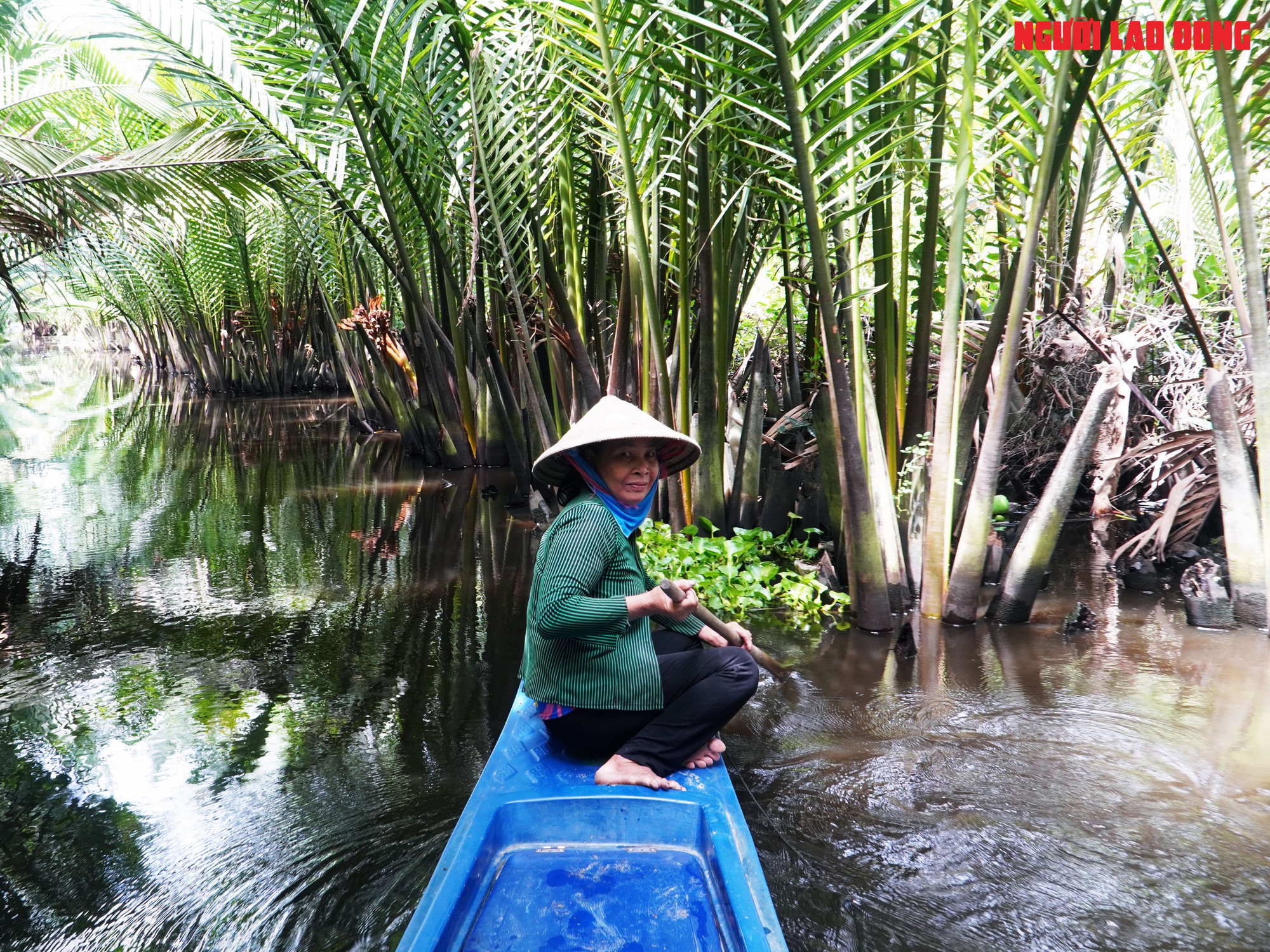 Loại trái từng bỏ đi, giờ đem về tiền triệu cho người miền Tây- Ảnh 1.