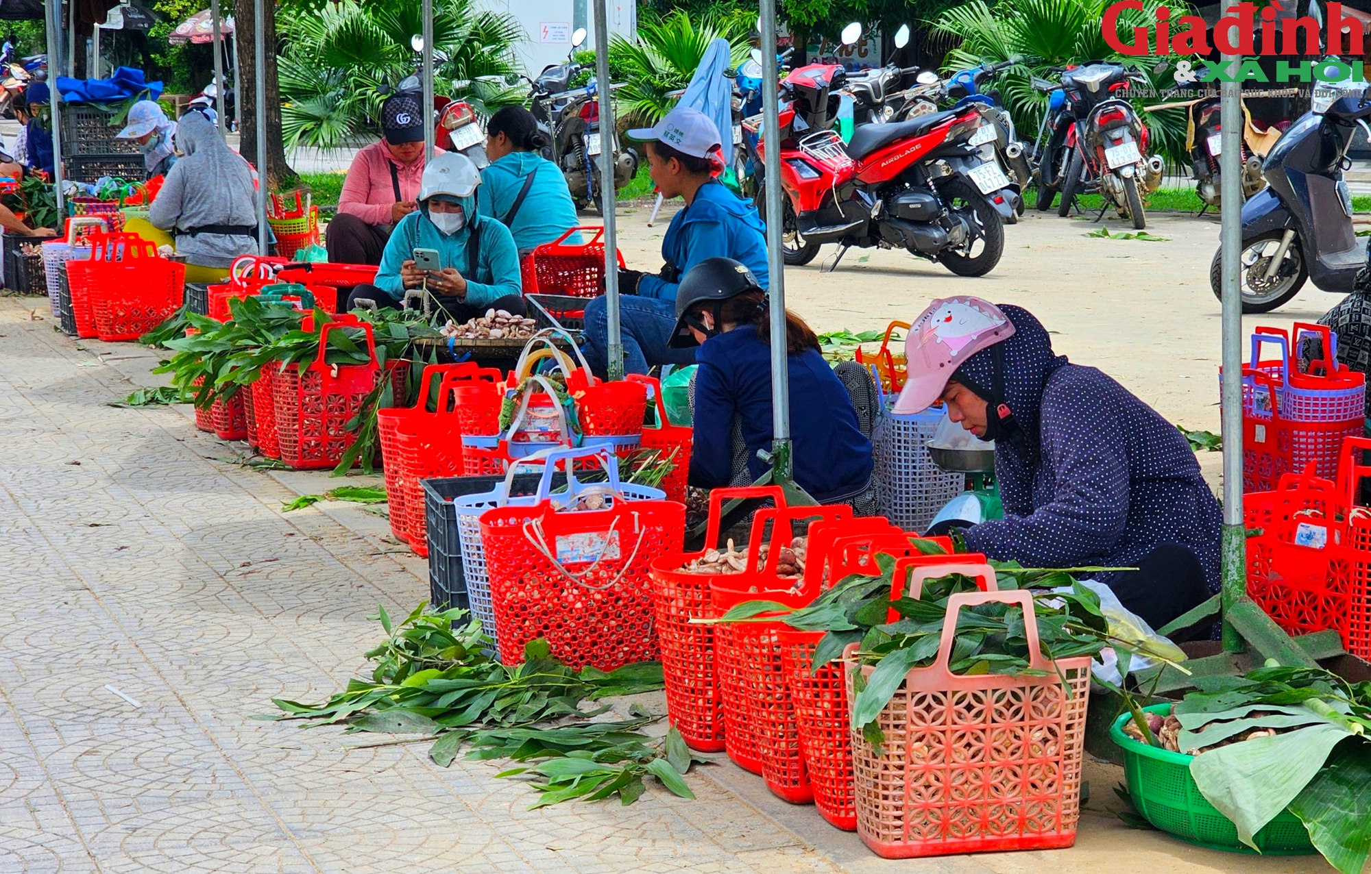 Khu bán nấm tràm - "lộc trời" 30.000- 60.000 đồng/kg tạo nên nơi mua bán nhộn nhịp bên cạnh di tích Huế- Ảnh 11.