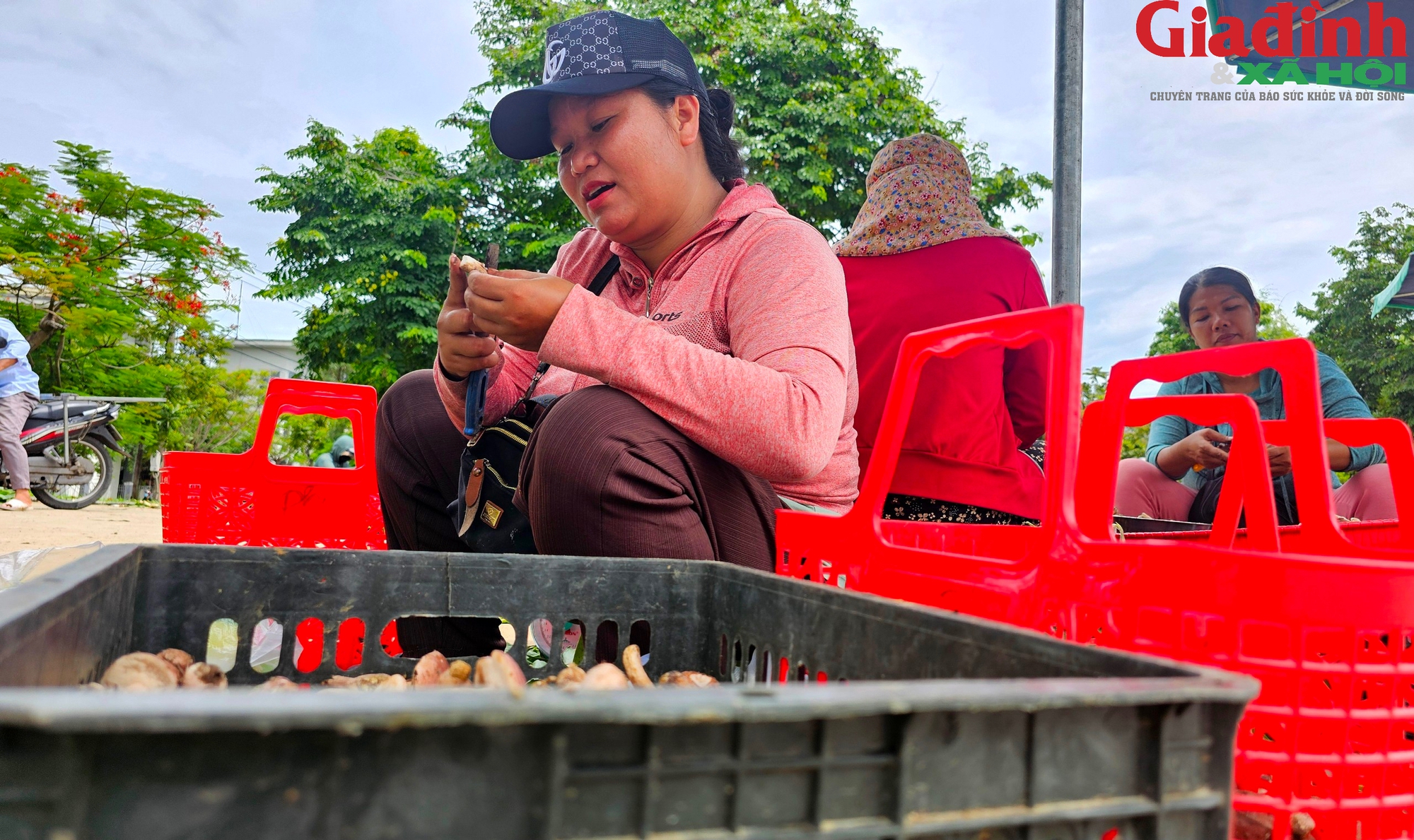 Khu bán nấm tràm - "lộc trời" 30.000- 60.000 đồng/kg tạo nên nơi mua bán nhộn nhịp bên cạnh di tích Huế- Ảnh 10.