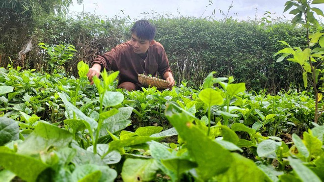 Ở thành phố thèm cơm nhà mẹ nấu, các thanh niên dọn về quê: Sáng làm vườn, chiều vào bếp 'nổi lửa' - Ảnh 13.