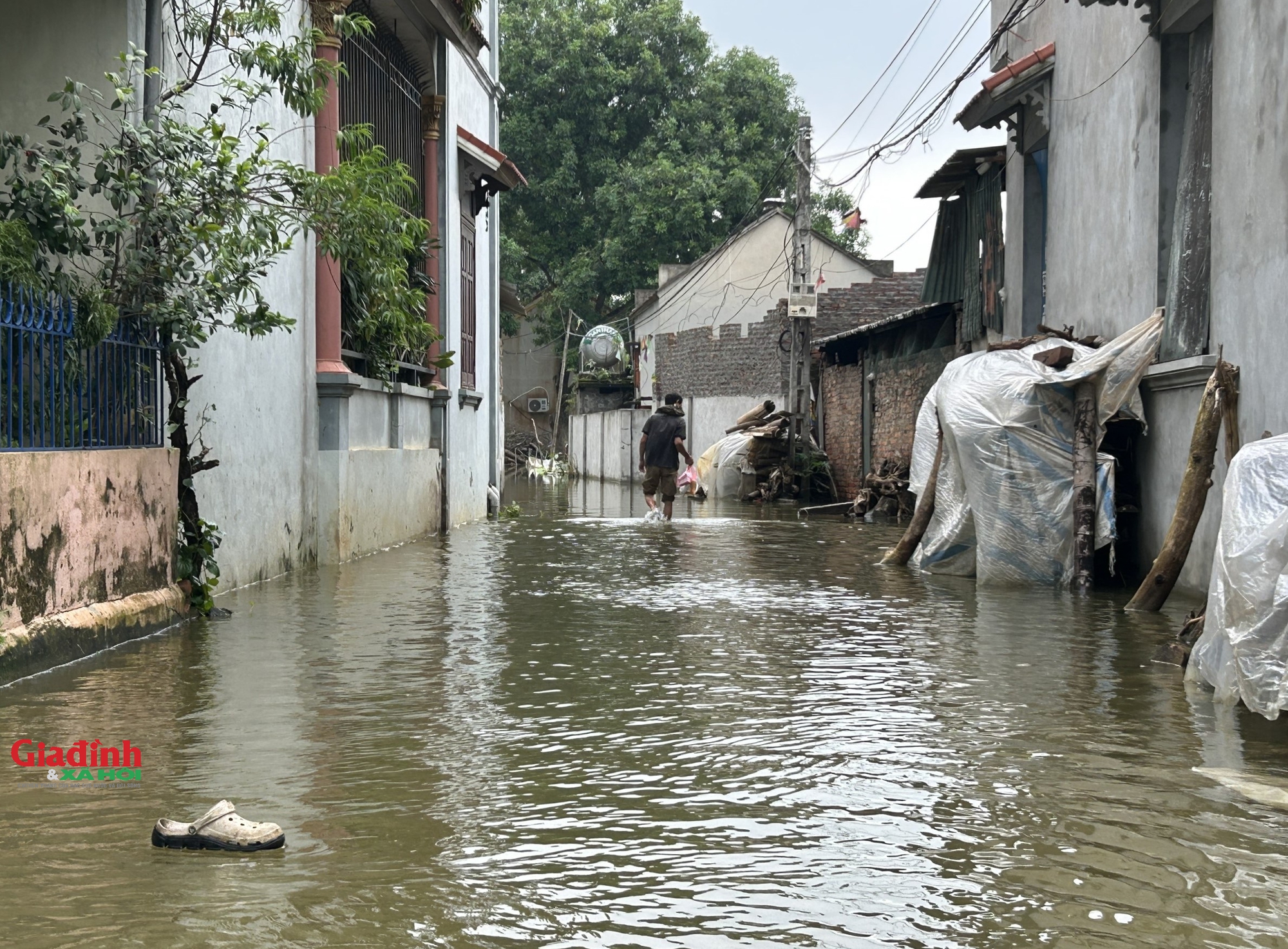 Hà Nội: Hơn 4.000 nhân khẩu cần phải sơ tán khỏi vùng &quot;rốn lũ&quot; Chương Mỹ - Ảnh 3.