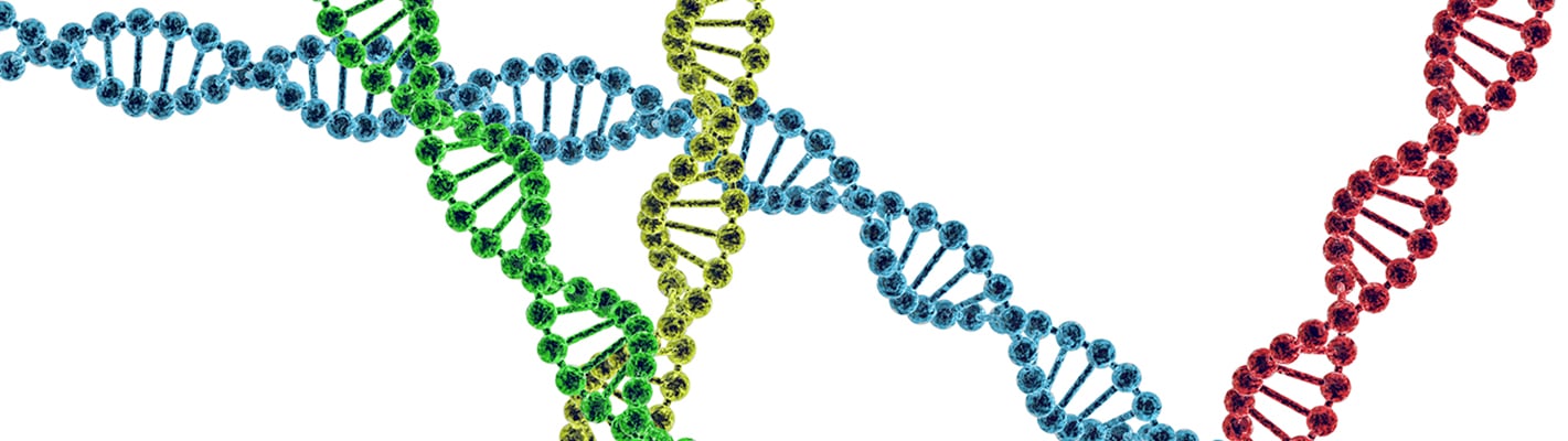 dna-1722353217175366447822-1722437902726-1722437903360378695249.jpg