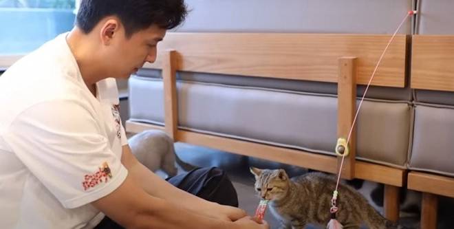 Cuộc sống sang chảnh với 8 con mèo trong penthouse tiền tỷ của Ngô Kiến Huy