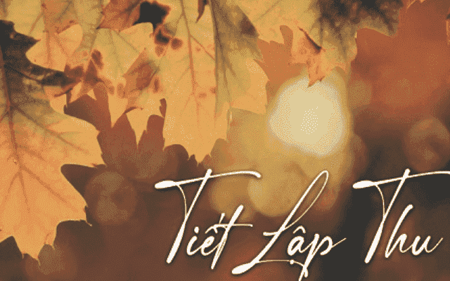 tiet-lap-thu-1722478859398901140306-9-118-409-758-crop-172247890566668279515.png