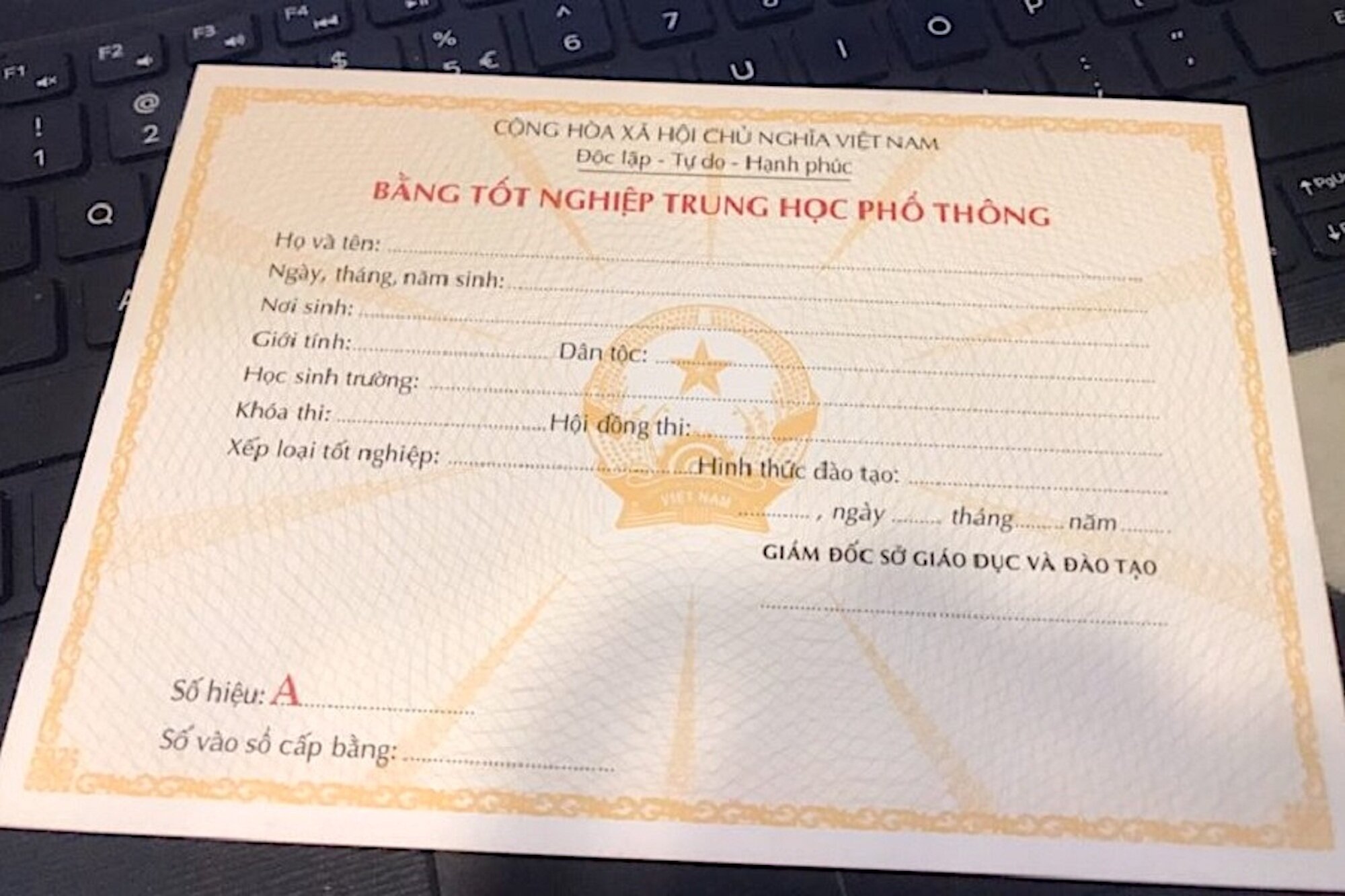 hoc-trung-cap-nghe-co-bang-cap-3-khong-1-10483270-1723576616282-17235766184611933397505.jpg