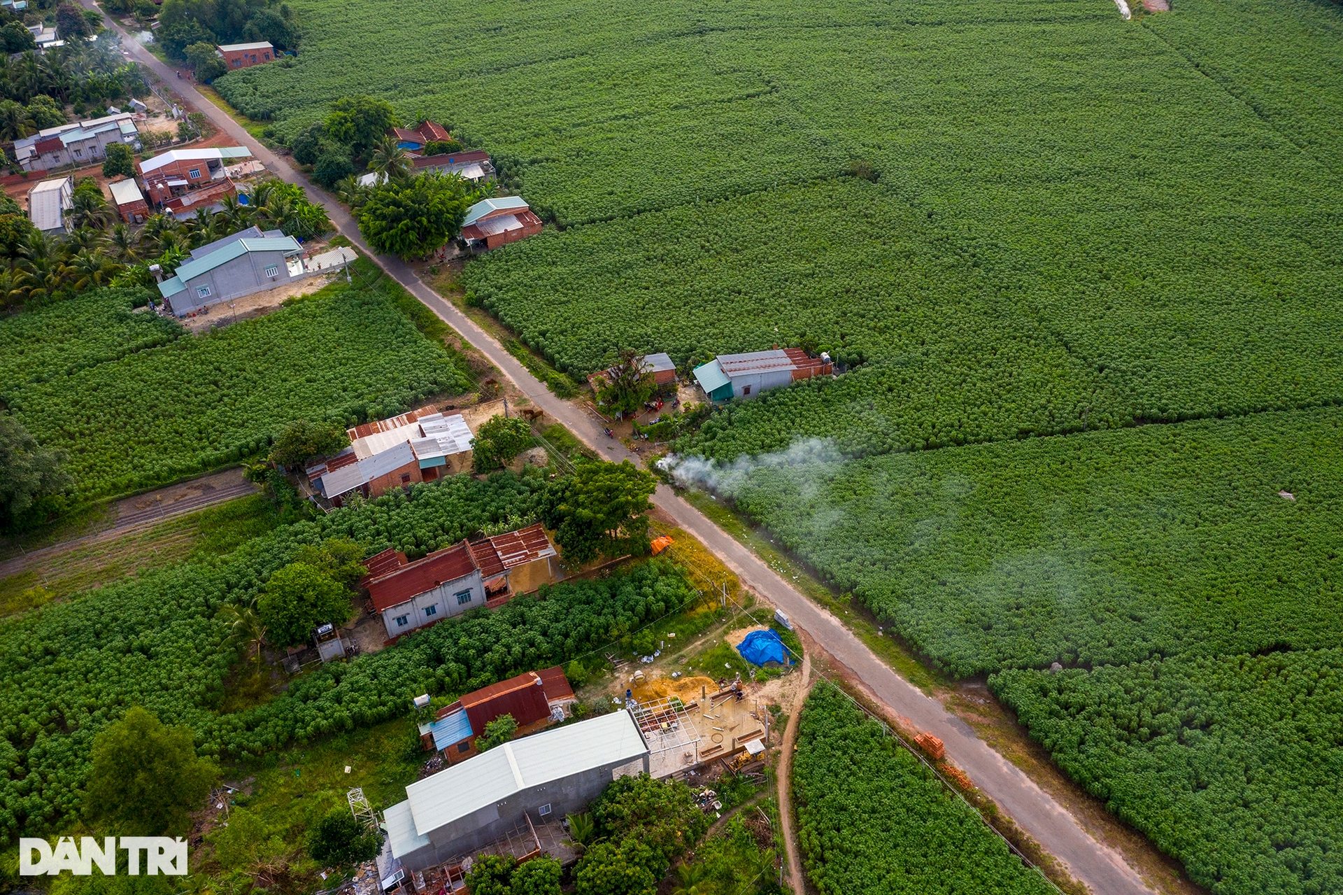 Khám phá quê nhà &quot;đẹp như tranh&quot; của Hoa hậu Hoàn vũ Ngọc Châu - Ảnh 3.