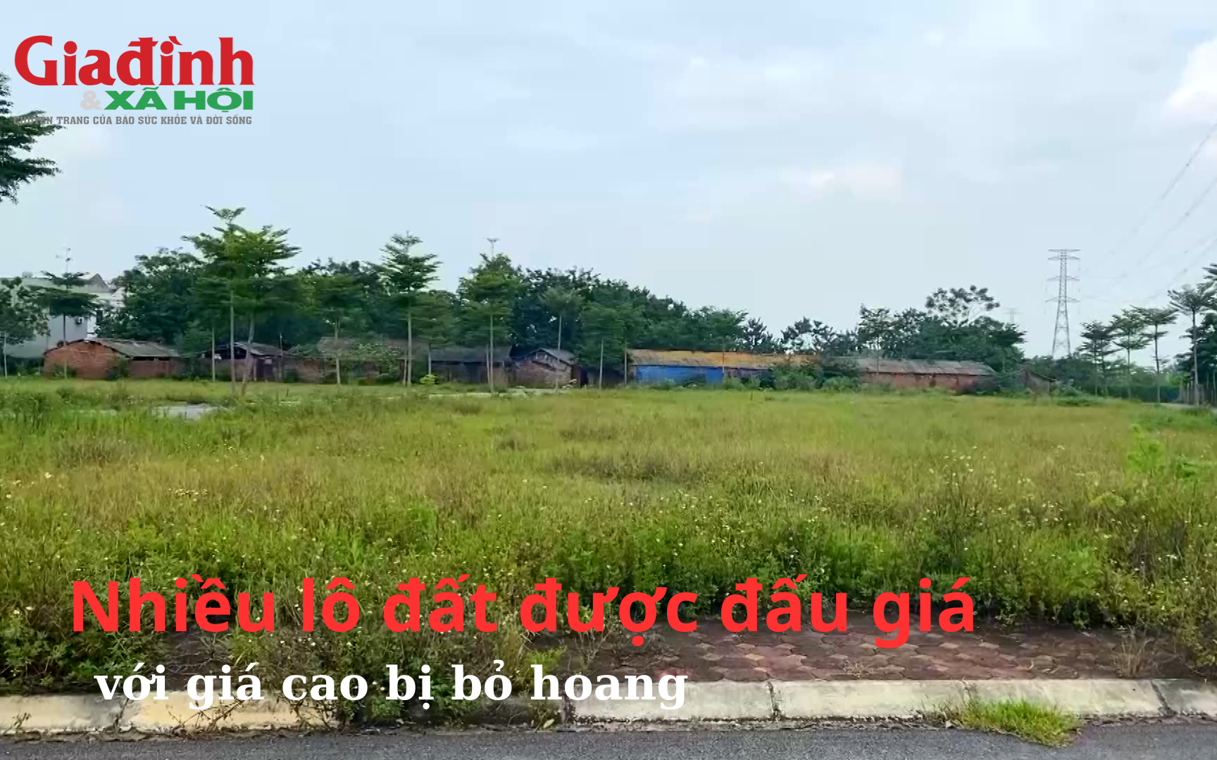 Nhiều lô đất được đấu giá, bán mức cao vút bị bỏ hoang