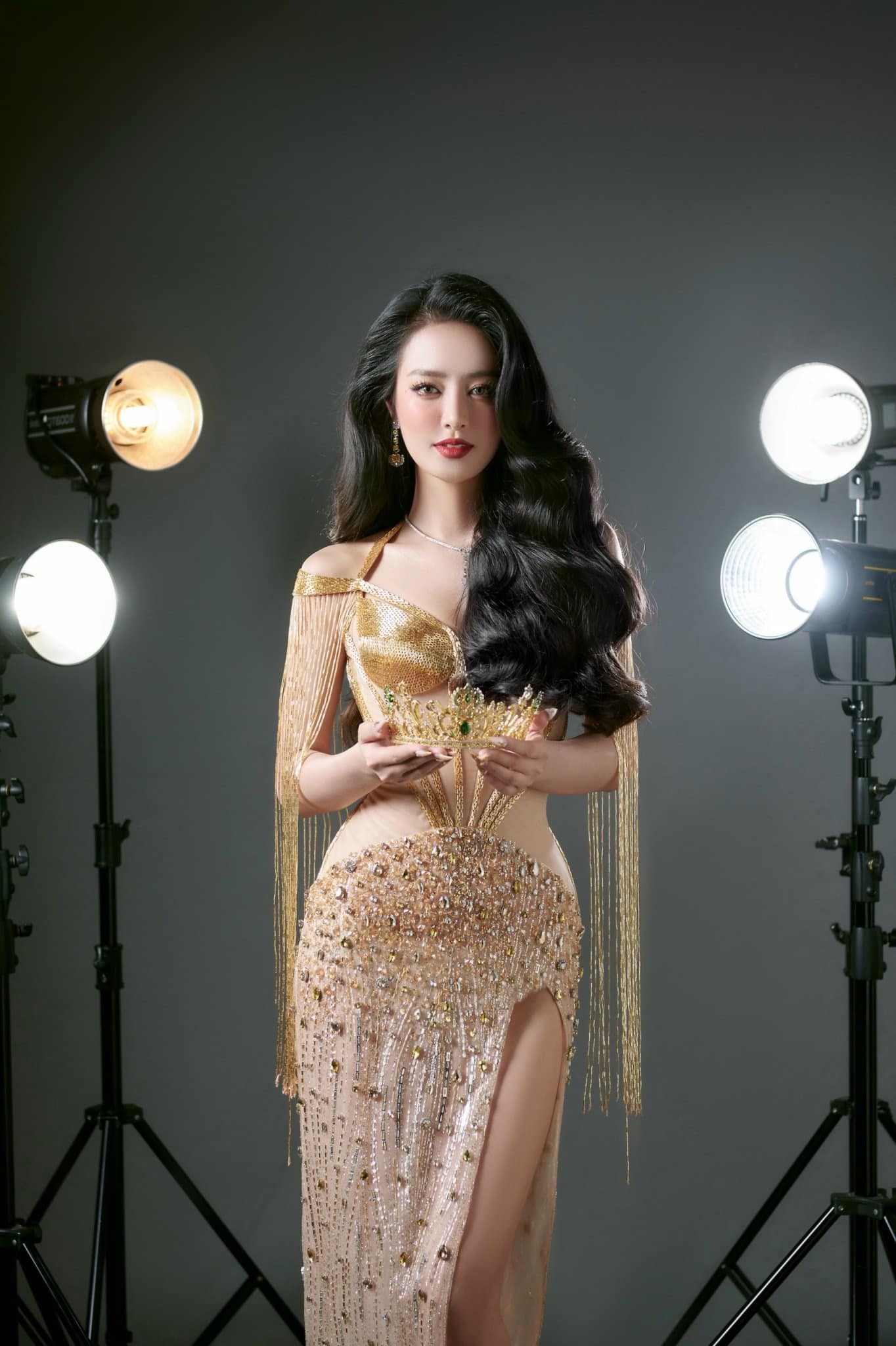 Người đẹp Bắc Giang đại diện Việt Nam thi Miss Intercontinental 2024 là ai?- Ảnh 2.