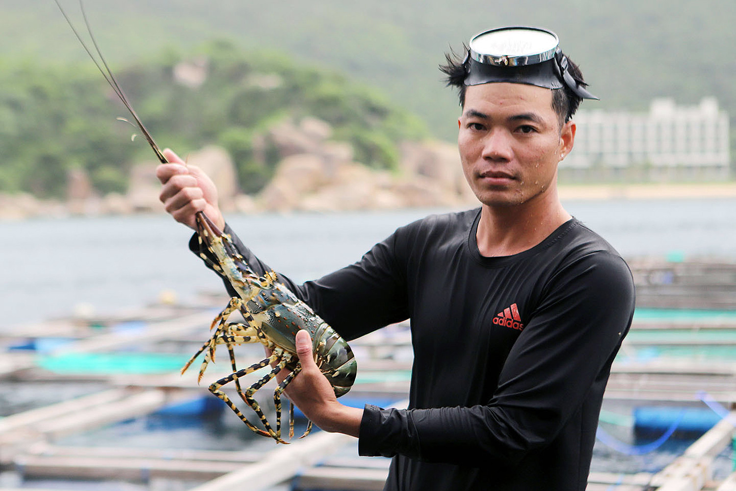 Loạt ‘siêu cường’ gom mua, doanh nghiệp Việt bán con tôm thu về 2 tỷ USD - Ảnh 2.