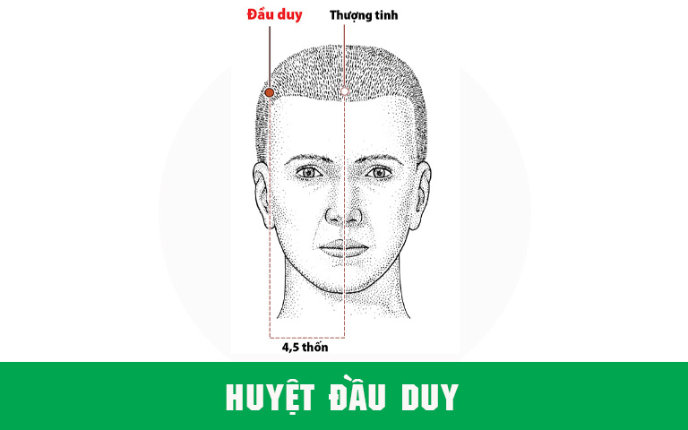 huyet-dau-duy-vi-tri-1722783172849626709985-1722848200584-1722848200782816861068.jpg